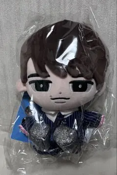 すのチル BIGぬいぐるみ 渡辺翔太 Snow Man