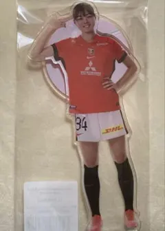 平川陽菜 記念グッズ