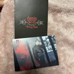 straykids domin ATE ラントレ　チャンビン