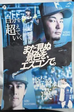 ファイターズ ステッカー 水野達稀 北山亘基