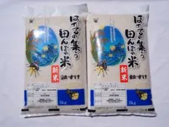 セール　粒すけ　白米　10kg 特A品種 セール 粒すけ 白米 10kg 特A品種 - メルカリ