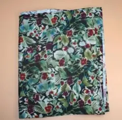 Item thumbnail for item 750d9050-0831-4dfc-8499-f66d64245264