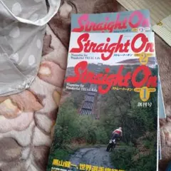 Item thumbnail for item 053729cf-65c4-4ede-8dc4-2dd635634a00