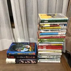 ヘルマンヘッセ　愛のむきだし　車輪の下　ホテルローヤル　小説　まとめ売り　大量