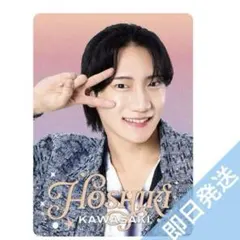 川崎星輝 川﨑星輝 プロカ ジュニアプロフィールカード - メルカリ