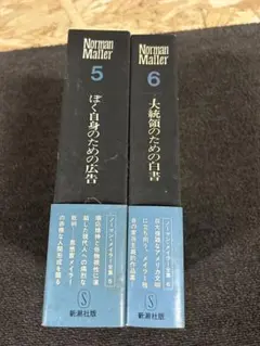 Item thumbnail for item e9a6ca65-9da0-4d34-bfd7-e216514303e5