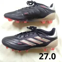 Item thumbnail for item 008c3ed1-1ed8-445b-b051-a906c6909868