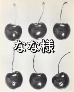 なな様 リクエスト 2点 まとめ商品