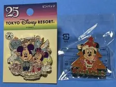 東京ディズニーリゾート25周年記念 ピンバッチ クリスマス ピンバッチ セット