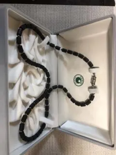 Item thumbnail for item cae28112-a2f6-4742-bab3-2fd6331bc3f9