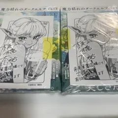 魔力枯れのダークエルフ 1巻 特典イラストペーパー 三省堂書店 - メルカリ