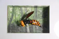 ゆうこりん様 リクエスト 2点 まとめ商品