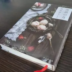 流浪の月 凪良ゆう 単行本 定価1500円 美品