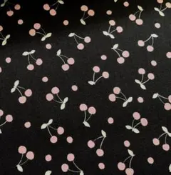 スーパーCB さくらんぼ ブラック 1M 生地