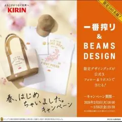 一番搾り＆BEAMS DESIGN　限定デザイングッズ 3点セット