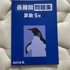 2025年最新】四谷大塚 最難関問題集の人気アイテム - メルカリ