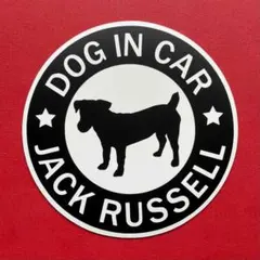 Item thumbnail for item 18cf69e3-5141-4806-b307-c92a69c1e5a8