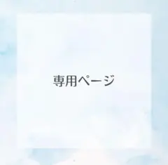専用ページ