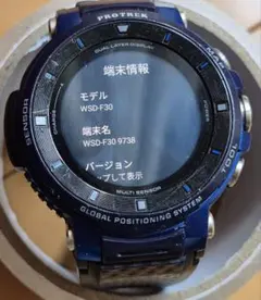 ジャンク CASIO PROTREK WSD-F30 メルカリ