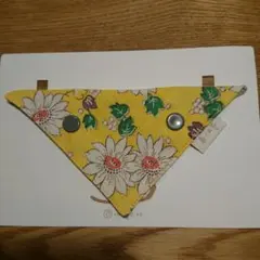 Item thumbnail for item 7d6bf1bf-fbb7-4724-af31-21259c7fa947