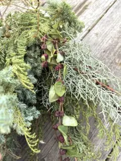 ⑪アカシア　シンフォリカルポス　ノイバラ他ドライフラワースワッグクリスマスにも