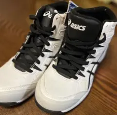 asics ゴアテックス安全靴 ピエドモントグレー×バーチ 27.5cm - メルカリ