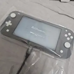 Nintendo Switch Lite グレー 本体 ケース・SDカード付き