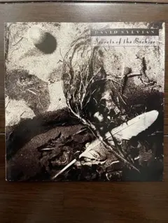 DAVID SYLVIAN 12インチシングル　6枚セット DAVID SYLVIAN 12インチシングル 6枚セット 2025年最新】DAVID