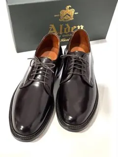 Alden Plain Toe Blucher 990 カラー8 9D 1回使用