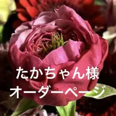 ⭐︎たかちゃん様オーダーページ⭐︎