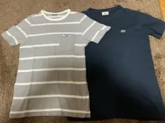 LACOSTE ラコステ　Tシャツ２枚セット　 S〜M相当