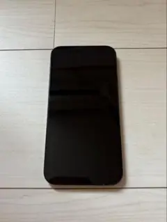 iPhone12