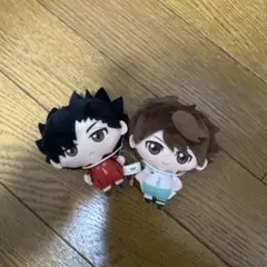 ハイキュー！！ 清水潔子 アニメキャラクターぬいぐるみ - メルカリ