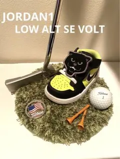 Item thumbnail for item 92555db5-d0e5-473d-a784-d01e3f594e58