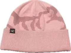 【希少】【美品】ARC'TERYX アークテリクス ピンク ニット帽 2025年最新】ARC'TERYX カラー：ピンク系 ニット帽・ビーニーの人気