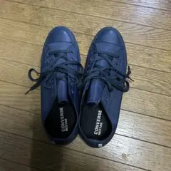 Item thumbnail for item 6681b419-b83d-4e70-aade-1a73a0c67e6a