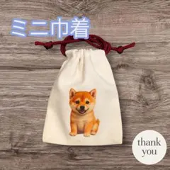 柴犬 ファッション小物