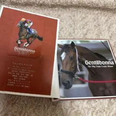 JRA⭐︎競馬⭐︎記念ブック⭐︎非売品