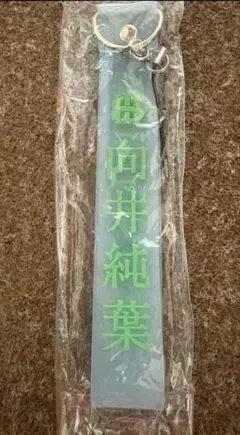 2026年最新】向井純葉 ペンライトの人気アイテム - メルカリ