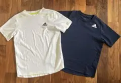 Item thumbnail for item 378fc980-1f54-4819-9a3d-0cf4ef925408