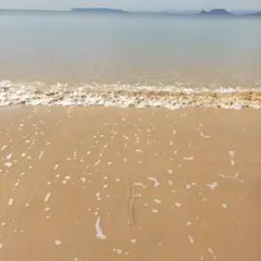 確認用 アイシング