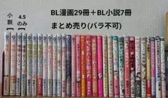 BL漫画 BLコミック BL小説 36冊 まとめ売り