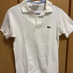 Item thumbnail for item b544affd-37d9-4092-991f-e143b6627c8d