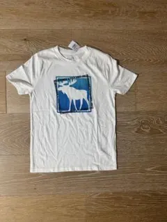 Sale新品150㎝アバクロンビーAbercrombieBoysTシャツノースフのサムネイル