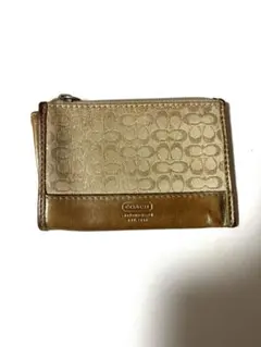 Item thumbnail for item 63e657bd-f114-45d4-828a-4c0d851e9207