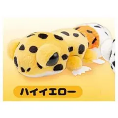 ハイイエロー　レオパのぬいぐるみ