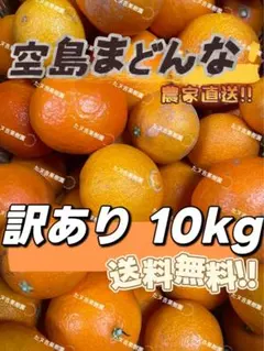 2026年最新】愛果28号 10kgの人気アイテム - メルカリ