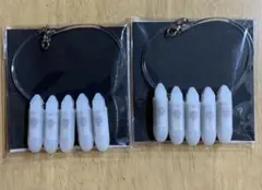 藤井フミヤ ホタフル 2個セット FUTATABI