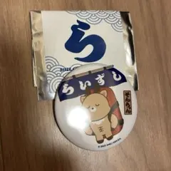 ソンチャン ⭐️RIIZE popup ランダム 缶バッジ らいずし　ハラカド