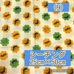 Item thumbnail for item dc37f9c7-8497-48f7-80ae-e49ffac4fa14